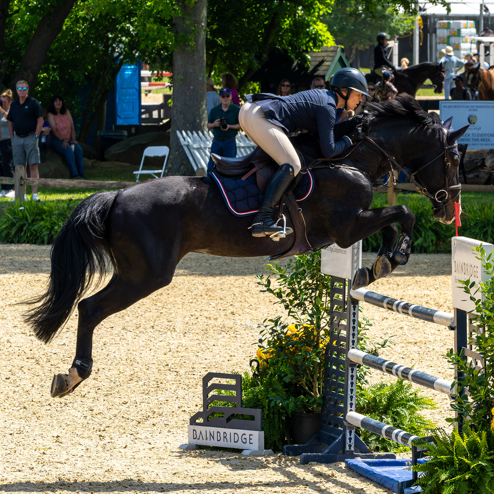 Upperville Colt & Horse Show 2024